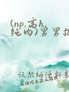 (np,高h,纯肉)男男总攻