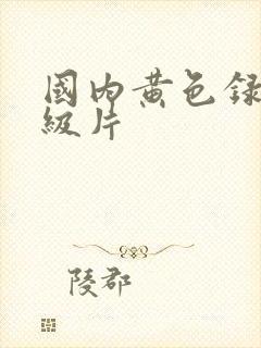 国内黄色录像一级片