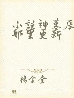 小说神墓辰东在那里更新