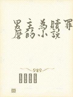 男主为赎罪任折磨的小说