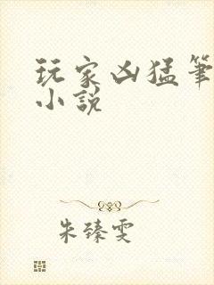 玩家凶猛笔趣阁小说