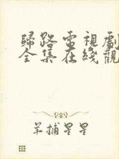 归路电视剧免费全集在线观看