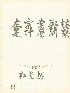 左宗棠与林则徐是什么关系