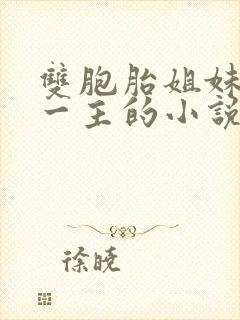 双胞胎姐妹共侍一主的小说