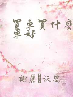 买车买什么系的车好