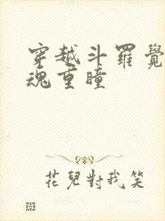 穿越斗罗觉醒武魂重瞳