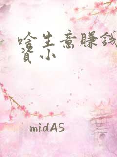 啥生意赚钱快投资小