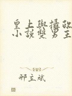 皇上与摄政王的小说双男主