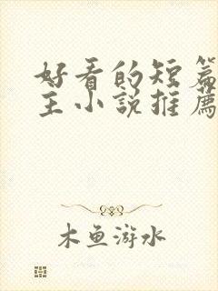 好看的短篇双男主小说推荐完结