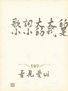 歌词大大的城市小小的我是什么歌
