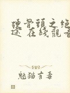 硬骨头之绝地归途 在线观看