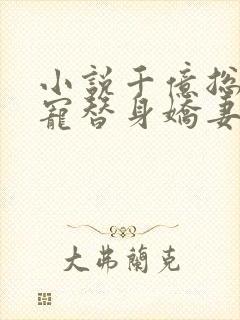 小说千亿总裁独宠替身娇妻在线观看