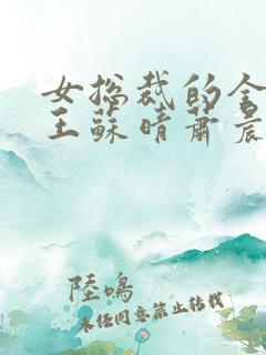 女总裁的全能兵王苏晴萧晨