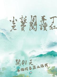 小说周平丁茹妍免费阅读红颜政道