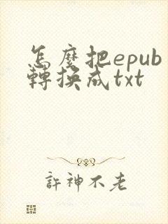 怎么把epub转换成txt