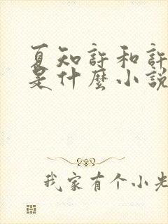 夏知许和许其琛是什么小说