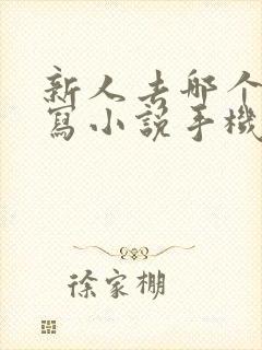 新人去哪个平台写小说手机