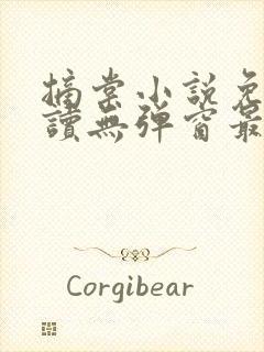 摘棠小说免费阅读无弹窗最新章节