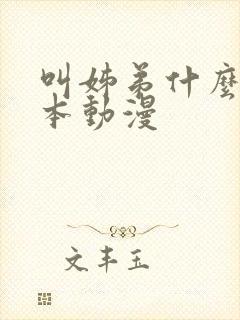 叫姊弟什么的日本动漫