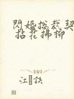 闪婚总裁契约妻 拈花拂柳