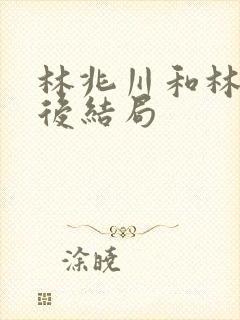 林兆川和林沅最后结局