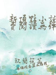 新顶点小说网免费阅读无弹窗