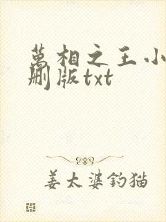 万相之王小说未删版txt