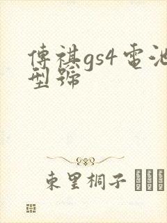传祺gs4电池型号