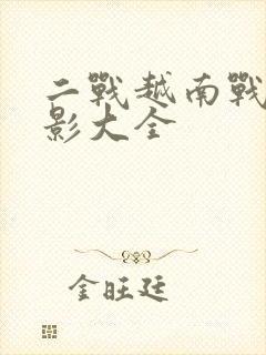 二战越南战争电影大全