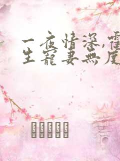 一夜情深,霍先生宠妻无度全本下载