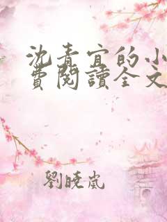 沈青宜的小说免费阅读全文