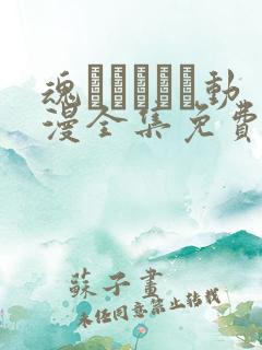 魂インサート动漫全集免费