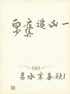 白夜追凶一共多少集