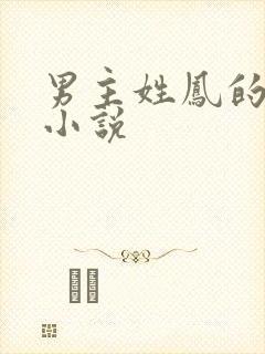 男主姓凤的古代小说