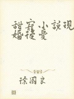 甜宠小说现言先婚后爱