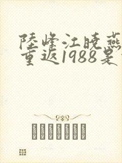 陆峰江晓燕全本重返1988是什么小说
