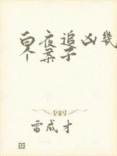 白夜追凶几集一个案子