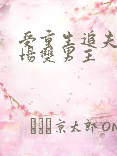 受重生追夫火葬场双男主