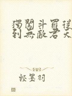 独闯斗罗从穿越到无敌君天麟