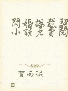 闪婚总裁契约妻小说免费阅