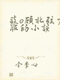 苏o顾北弦完结版的小说