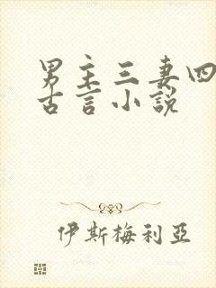 男主三妻四妾的古言小说