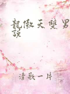 龙傲天双男主小说