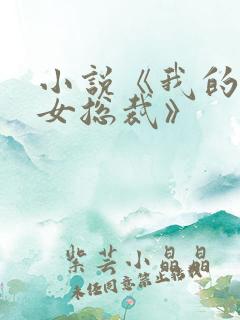 小说《我的傲娇女总裁》