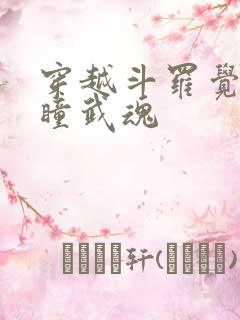 穿越斗罗觉醒重瞳武魂