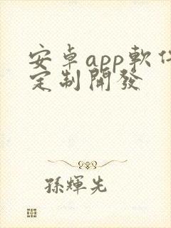 安卓app软件定制开发