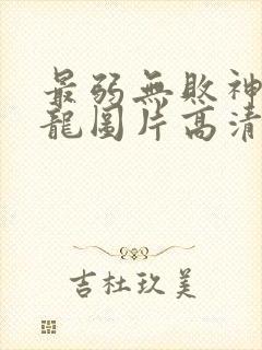 最弱无败神装机龙图片高清