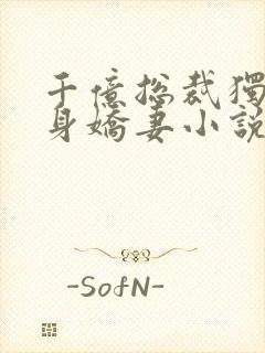 千亿总裁独宠替身娇妻小说下载