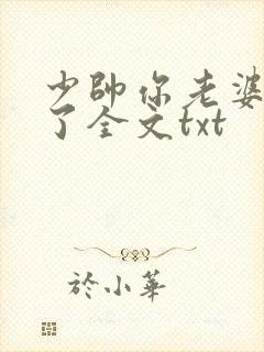 少帅你老婆又跑了全文txt