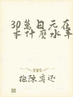 30万日元在日本什么水平